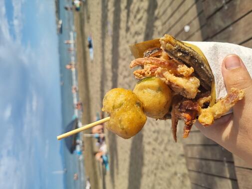 Senso unico - specialisté na románské jazyky - Jazyková škola - Praha 20 - Horní Počernice - ilustrační foto